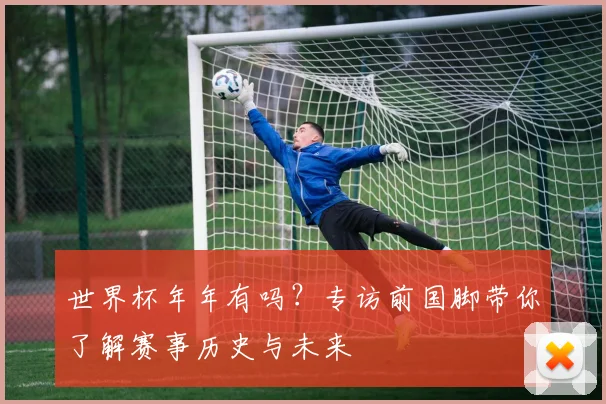 世界杯年年有吗？专访前国脚带你了解赛事历史与未来