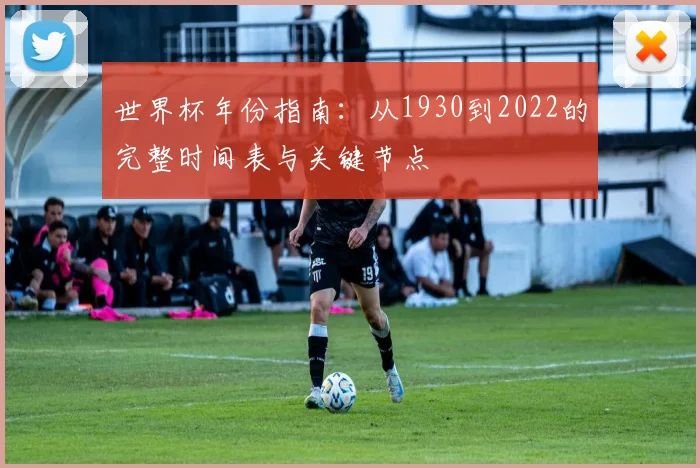 世界杯年份指南：从1930到2022的完整时间表与关键节点