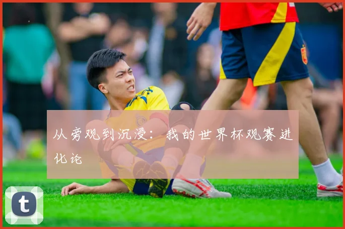 从旁观到沉浸：我的世界杯观赛进化论