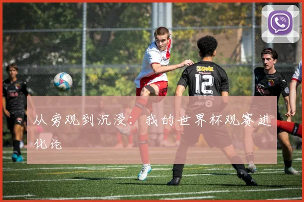 从旁观到沉浸：我的世界杯观赛进化论